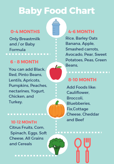 food guide for 6 month old baby